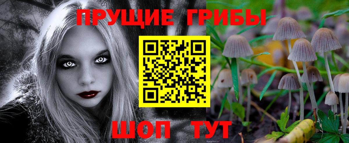 Нижнекамск  где можно купить наркотик  Галлюциногенные грибы Psilocybine cubensis  Вход с VPN  Галлюциногенные грибы мицелий 
