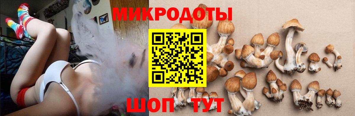 Псилоцибиновые грибы Cubensis Нижнекамск